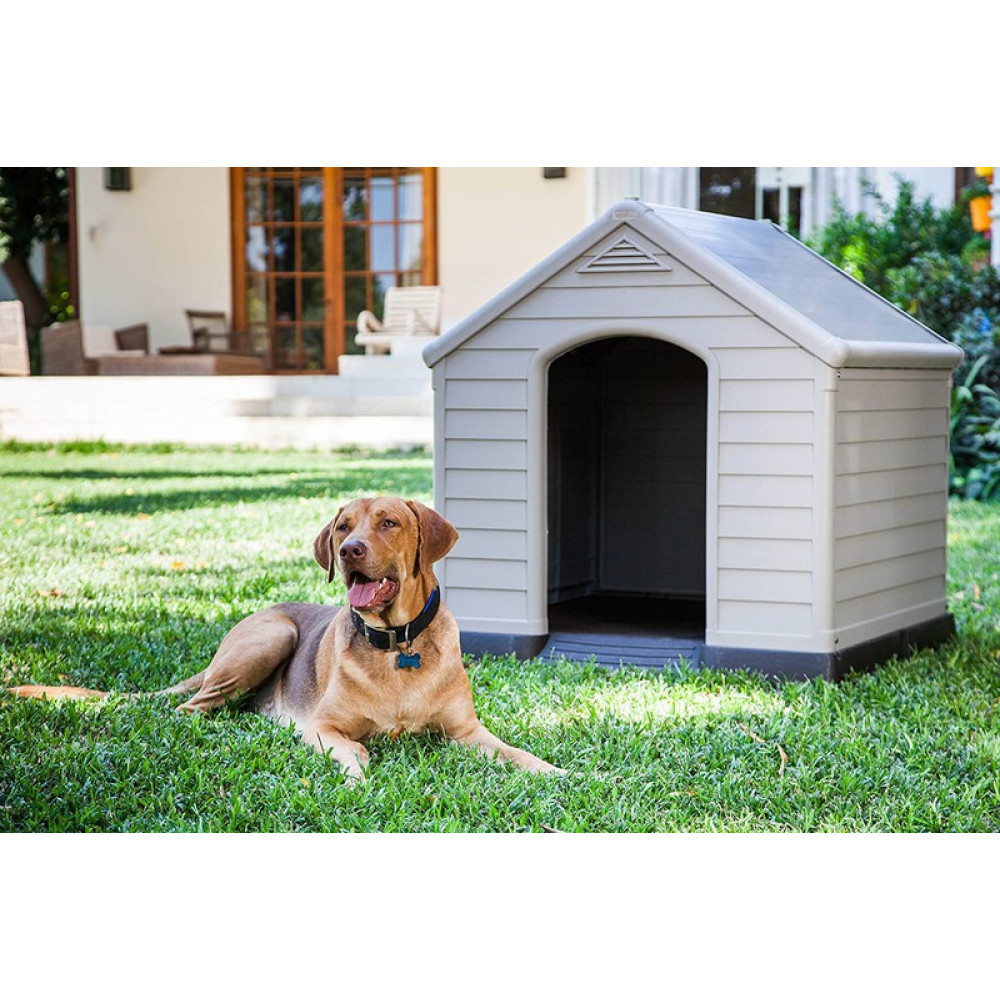 Демо версия дог хаус dog houses info. Keter Dog House. Домик для собак Keter. Будка для собаки Keter. Собачья будка Keter Dog House.